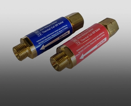 Picture for category Flashback Arrestors